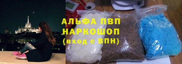 гидра Алексин