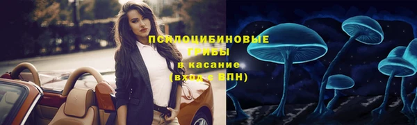 хмурый Дмитровск
