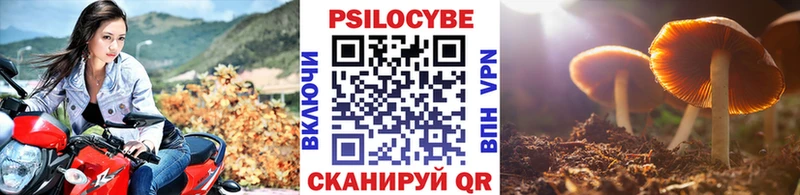 Псилоцибиновые грибы MAGIC MUSHROOMS  даркнет как зайти  Среднеколымск 